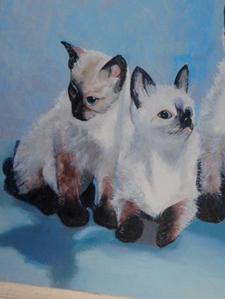 Vintage Modern Oil Painting Portrait 3 Siamese Cats Kittens 1950s SWEET 2