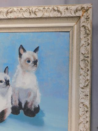 Vintage Modern Oil Painting Portrait 3 Siamese Cats Kittens 1950s SWEET 4