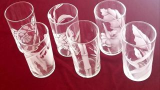 Vtg Frank Oda Hawaiian Floral Etched Glassware 6pc.  Set