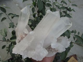 8.  94lb RARE NATURAL CLEAR quartz crystal cluster point Specimens Tibet 4