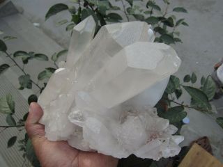 8.  94lb RARE NATURAL CLEAR quartz crystal cluster point Specimens Tibet 5