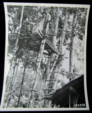 Wwii Press Photo - Us Rangers Usmc In Japanese Sniper Nest With Flag