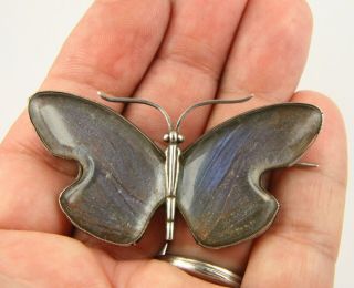 Large Art Deco C1930 Sterling Silver Butterfly Wing Butterfly Brooch Pin