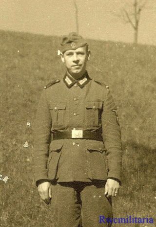 Port.  Photo: Rare Outdoor Pic German Elite Waffen Polizei Soldier Posed; 1940