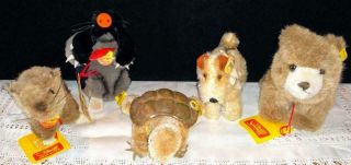 (5) Vintage Steiff Animals - Beaver,  Mole,  Turtle,  Dog,  Bear