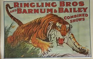 Vintage Ringling Brothers Barnum & Bailey Circus Poster Tiger Strobridge Litho