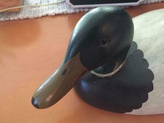 Mallard Drake Duck Chas.  Charles Moore Decoy Hand Carved 1980 Signed 16 In Nm