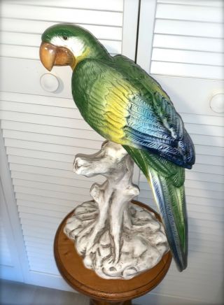Lg Vintage Ceramic Porcelain Parrot Bird Sculpture On Branch Gruppo Italy