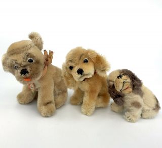 Steiff Dog X 3 Mopsy Revue Susi Cockie Mohair Plush 12cm 5in Id Button Tag 1960s