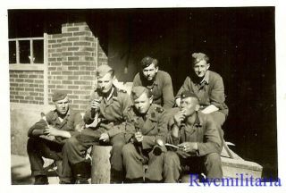 Rare: Group Of German Elite Waffen Panzermen Posed Seated Outside
