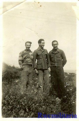 Rare: Trio German Elite Waffen Pow 