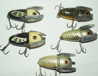 Heddon Crazy Crawler Group Of Five All Different Sizes,  Hardware,  Eyes.