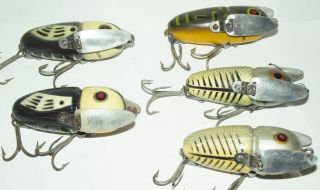 Heddon Crazy Crawler group of five all different sizes,  hardware,  eyes. 3