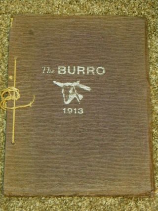 Vtg.  1913 The Burro Mineral Wells Texas Tx High School Yearbook Genealogy Photo