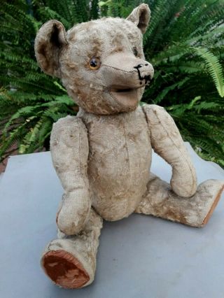 Antique Teddy Bear 15 Inches Straw Stuffed Jointed & Eyes Glass