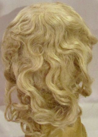 214 Antique 11 - 12 " Fine Mohair Doll Wig For Antique Bisque Dolls