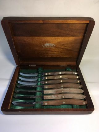 Set Of 7 Cutco Serrated Steak Knives 1059 In Wooden Box Kensington Pa Vtg