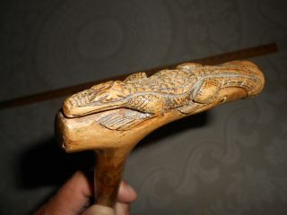 Antique Hand Carved Cypress Wood Branch Folk Art Alligator,  Walking Stick Cane