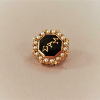 Vintage Sigma Alpha Mu Fraternity Pin 14k W Enamel & Seed Pearls