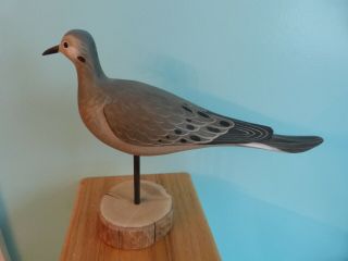 Dove Shore Bird Decoy By Dave Rhodes