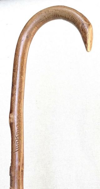 Vintage Antique 1800’folk Art Carved Wood Alligator Crocodile Walking Stick Cane