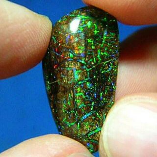 Rare Opalized Wood 11ct Natural Australian Yowah Boulder Opal See Video
