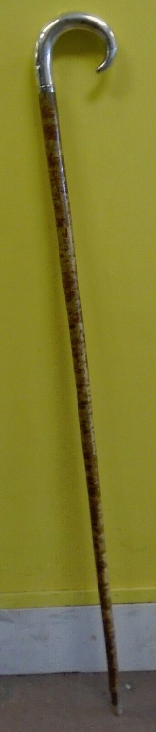 Antique Brigg Of London Walking Stick/cane With Inscribed Sterling Handle