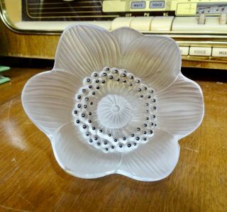 Vintage Lalique France Frosted Crystal Anemone Flower W/ Stem Exc