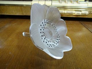 Vintage LALIQUE France Frosted Crystal Anemone Flower w/ Stem EXC 2