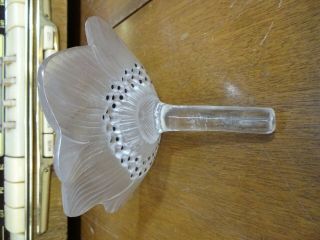 Vintage LALIQUE France Frosted Crystal Anemone Flower w/ Stem EXC 4