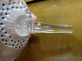 Vintage LALIQUE France Frosted Crystal Anemone Flower w/ Stem EXC 5