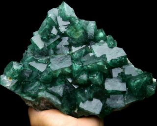 7.  4lb Rare Beauty Large Particles Green Cube Fluorite Crystal Mineral Specimen