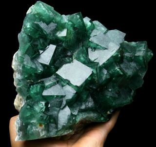 7.  4LB Rare Beauty Large Particles Green Cube Fluorite Crystal Mineral Specimen 5