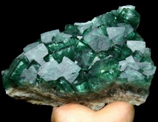 7.  4LB Rare Beauty Large Particles Green Cube Fluorite Crystal Mineral Specimen 8