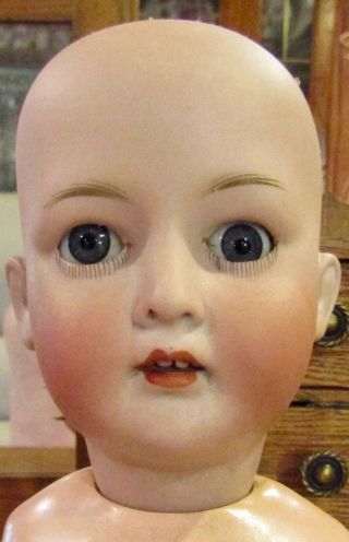Antique 19 " German Bisque Hard To Find Revalo Doll W/orig Jtd Compon Body