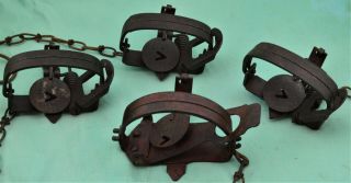 12 Vintage VICTOR 1 Coil Spring Traps 1 ONEIDA JUMP Stoploss Pat.  Lititz PA 3