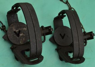 12 Vintage VICTOR 1 Coil Spring Traps 1 ONEIDA JUMP Stoploss Pat.  Lititz PA 5