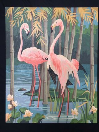 Vintage 1950s 16”x 20” Paint By Numbers Cockatoo Flamingo Bird Oil Painting Nr