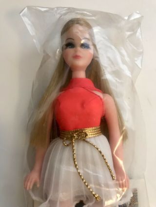 Vintage Topper Dawn Doll 1971 - RARE TO FIND 4