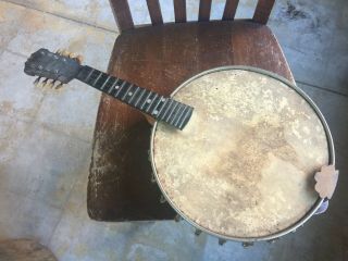 Vintage Lyon & Healy Banjo - Mandolin