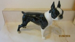Vintage Hutschenreuther Boston Terrier Dog Figurine German Porcelain W/ Label