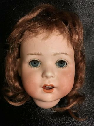 Adorable Antique Bisque Doll Head Jutta 1914