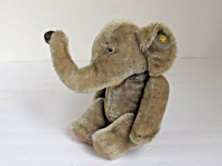 Vintage STEIFF Elephant with Bell 1950 ' s 2