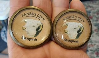 55 - 27 - Pair Vintage Domed Glass Rosettes Kansas City Stockyards Brahma Bull