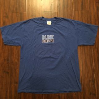 Blink 182 Concert T Shirt Vintage 1999 Tour Xl