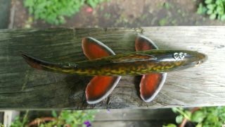1st Place Brook Trout Fish Decoy - Andrew Gardner Melosh Spearing Lure 8