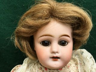 Vintage/antique Bisque Head Doll