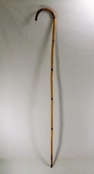 Vintage Japanese Cane Walking Stick Bamboo Signed 35 5/8 " Early 20th C.
