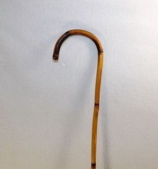Vintage Japanese Cane Walking Stick Bamboo Signed 35 5/8 