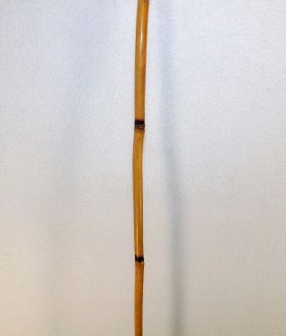 Vintage Japanese Cane Walking Stick Bamboo Signed 35 5/8 